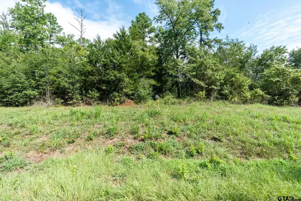 11163 Moser Ln, Whitehouse,  75791