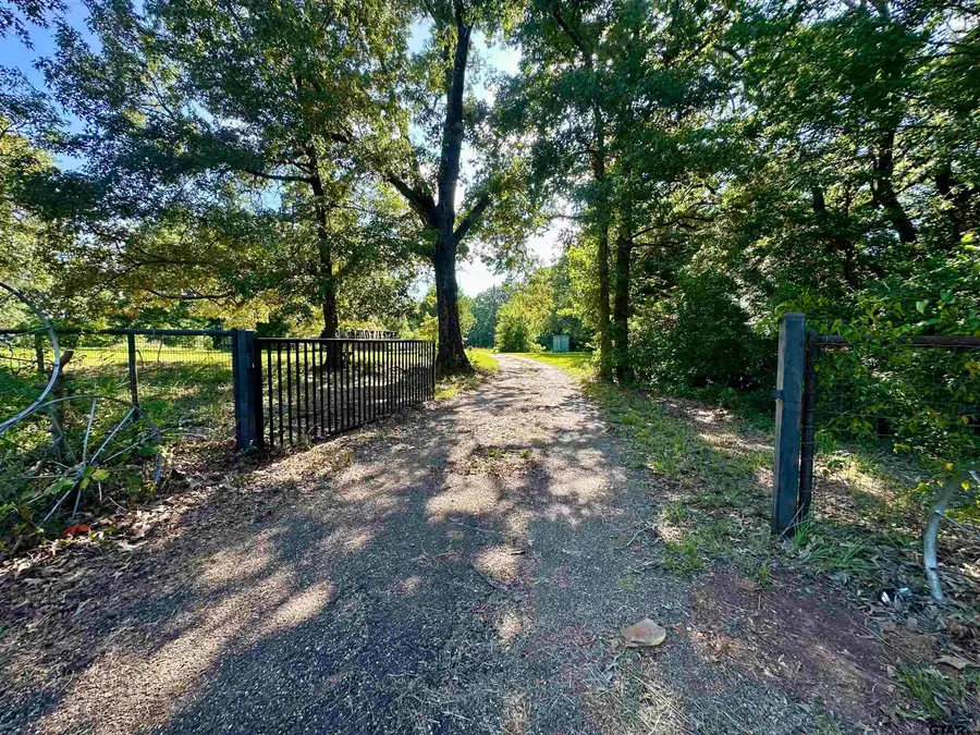 2578 South FM 17, Alba, TX 75410 - #2