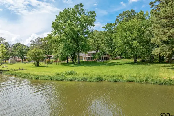 17414 Lakeview Dr, Flint,  75762