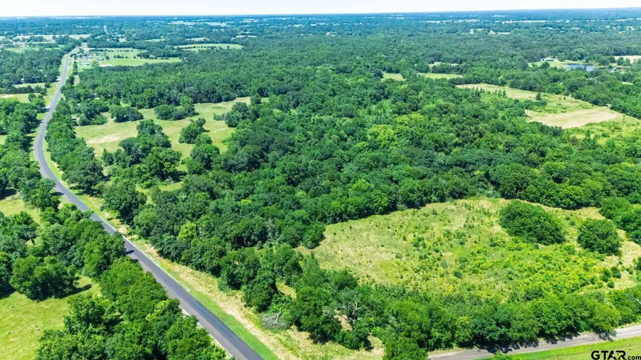 11591-2 S Farm Road 269, Pickton Pine Forest, TX 75471 - #2