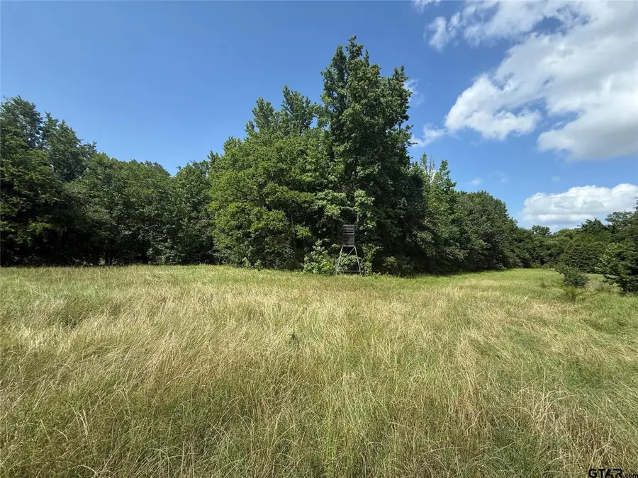 11591-2 S Farm Road 269, Pickton Pine Forest, TX 75471 - #3