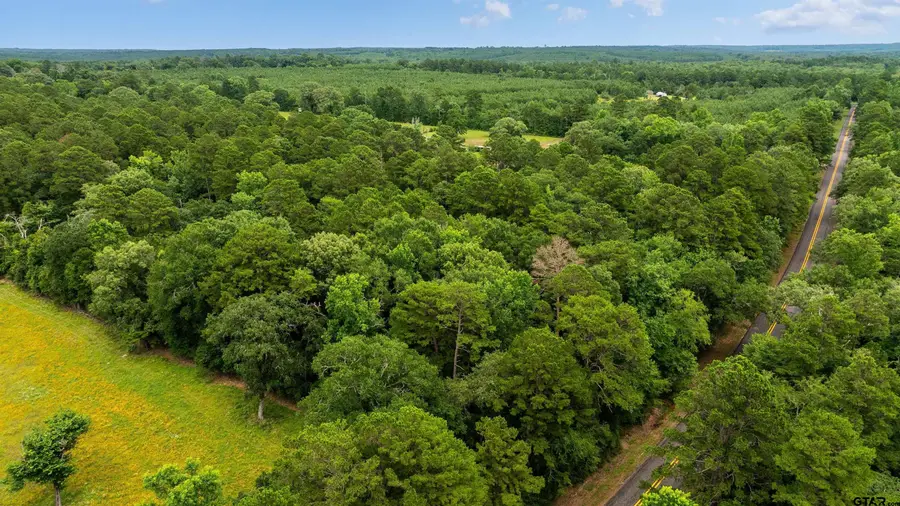 TBD FM 323, Elkhart, TX 75839 - #2
