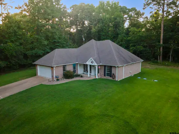 16980 Mary Martin Dr, Flint,  75762