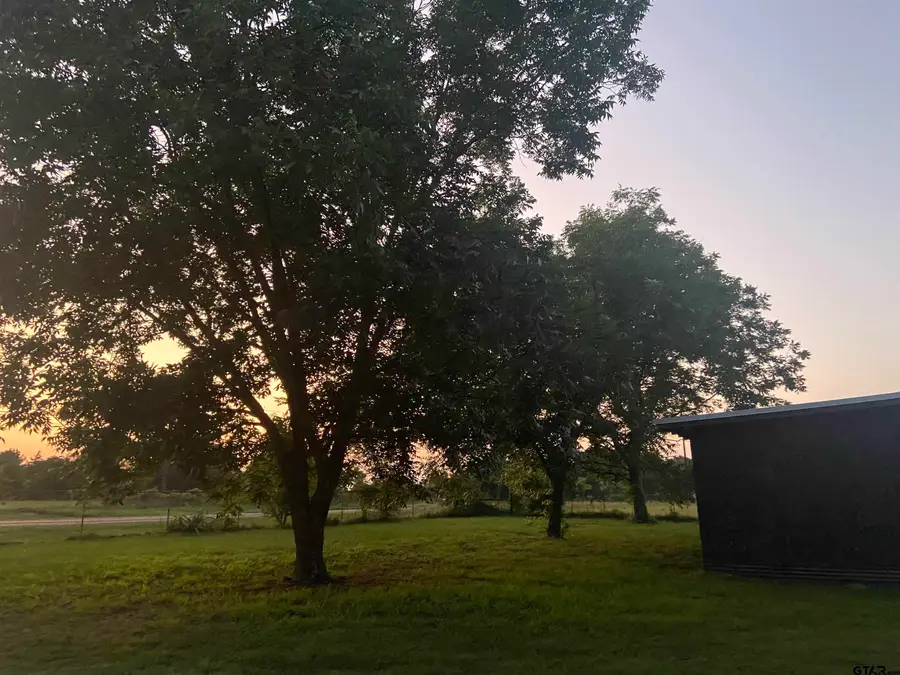 13910 Fm 314, Brownsboro, TX 75756 - #2
