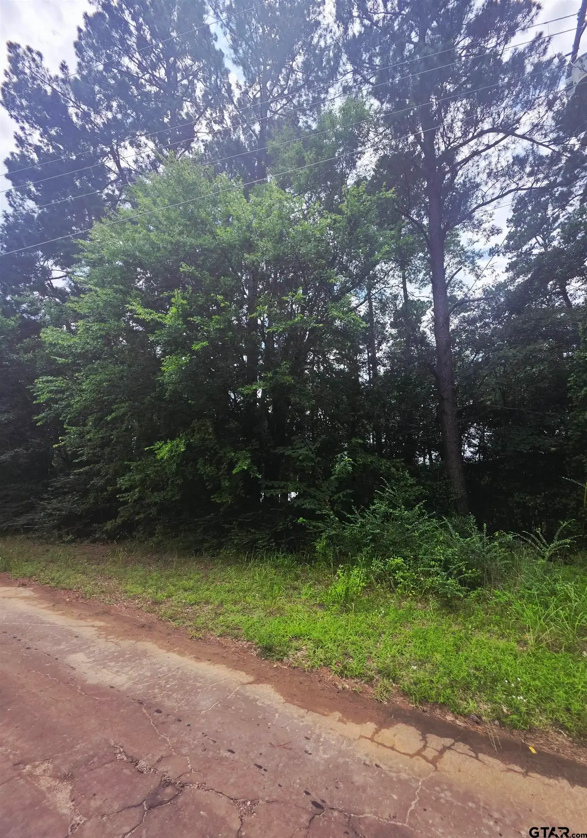 TBD CR 2131, Quitman, TX 75783 - #1