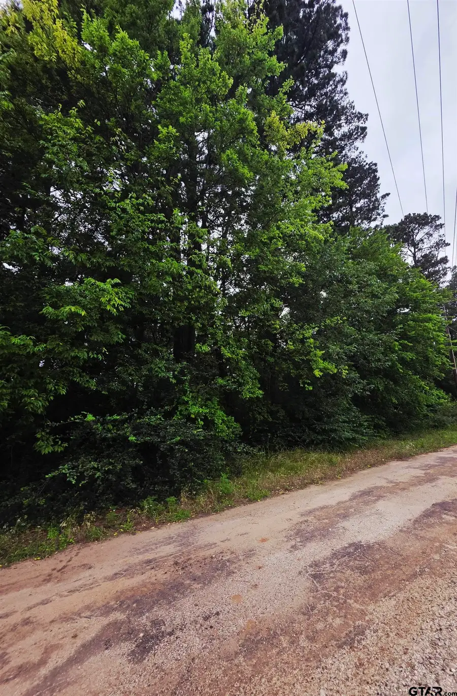 TBD CR 2131, Quitman, TX 75783 - #2