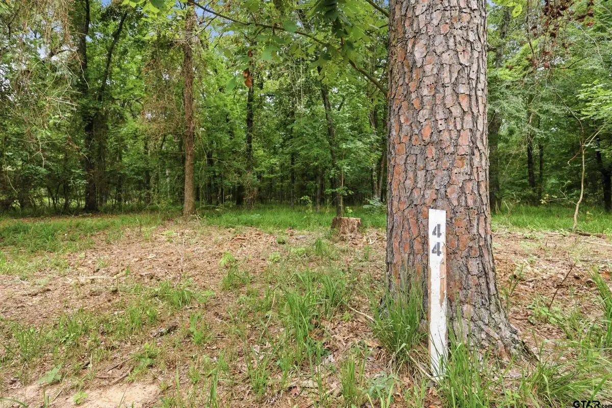Lot 44 Sterling Shores Dr, Scroggins, TX 75480 - #1