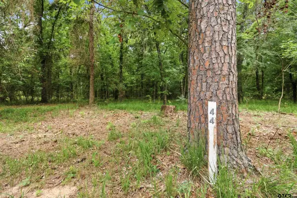 Lot 44 Sterling Shores Dr, Scroggins,  75480