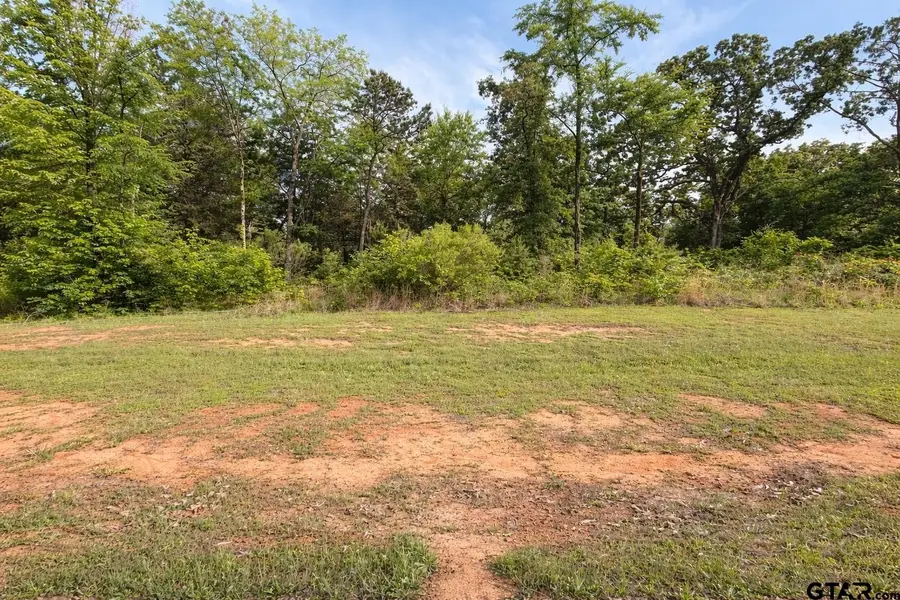 TBD PR 52414, Pittsburg, TX 75686 - #2