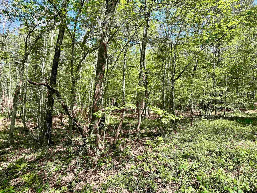TBD SH 323, Overton, TX 75684 - #3