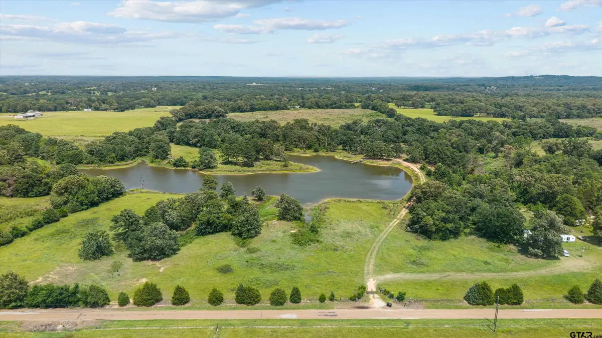 13150 Cr 3514, Chandler Brownsboro, TX 75756 - #1