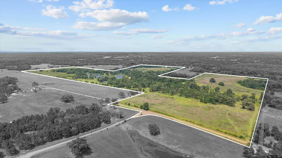 13150 Cr 3514, Chandler Brownsboro, TX 75756 - #2