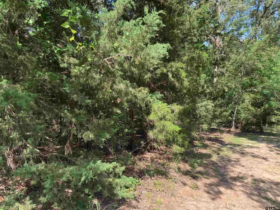 Lot 4 Cypress Creek Drive, Mount Vernon, TX 75457 - #2
