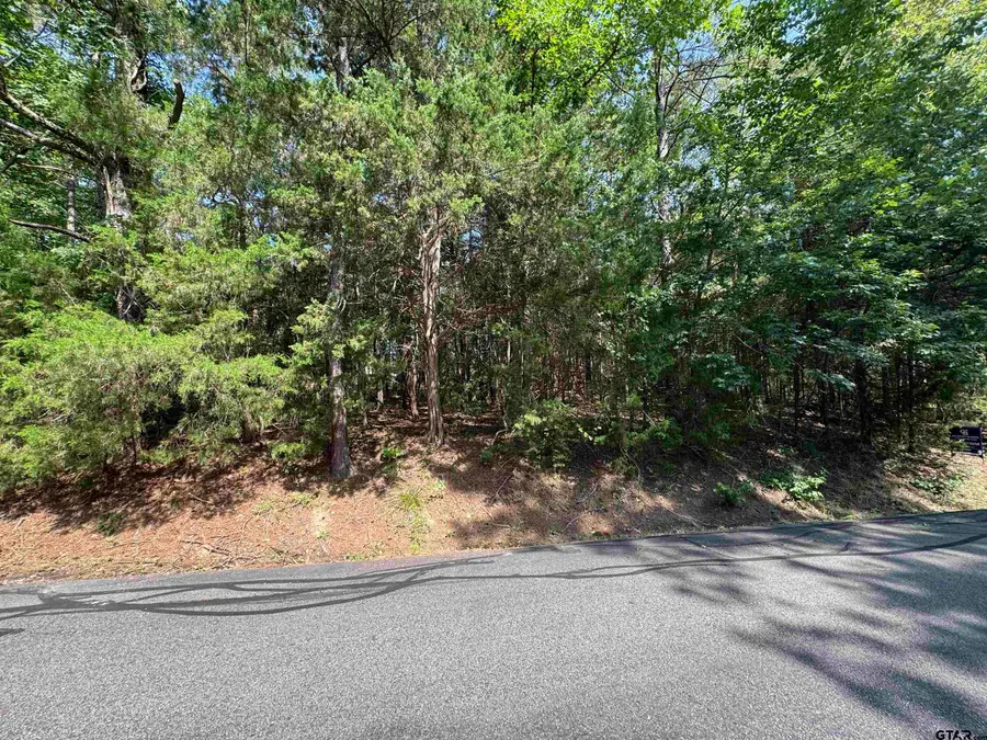 Lot 19 S Whispering Pine Trail, Mount Vernon, TX 75457 - #3