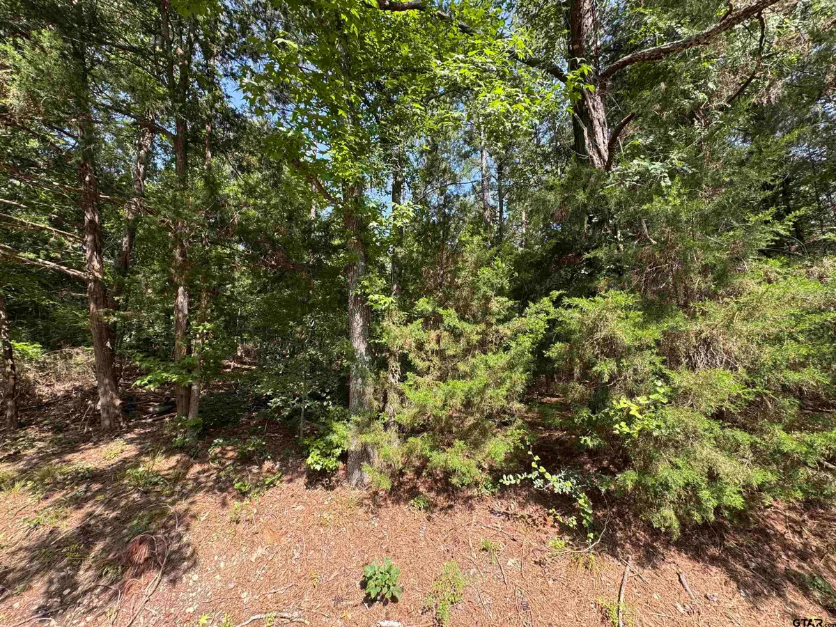 Lot 20 S Whispiering Pine Trail, Mount Vernon, TX 75457 - #1