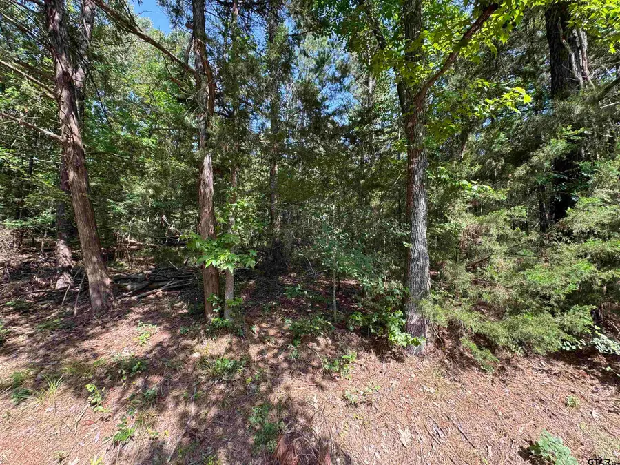Lot 20 S Whispiering Pine Trail, Mount Vernon, TX 75457 - #2
