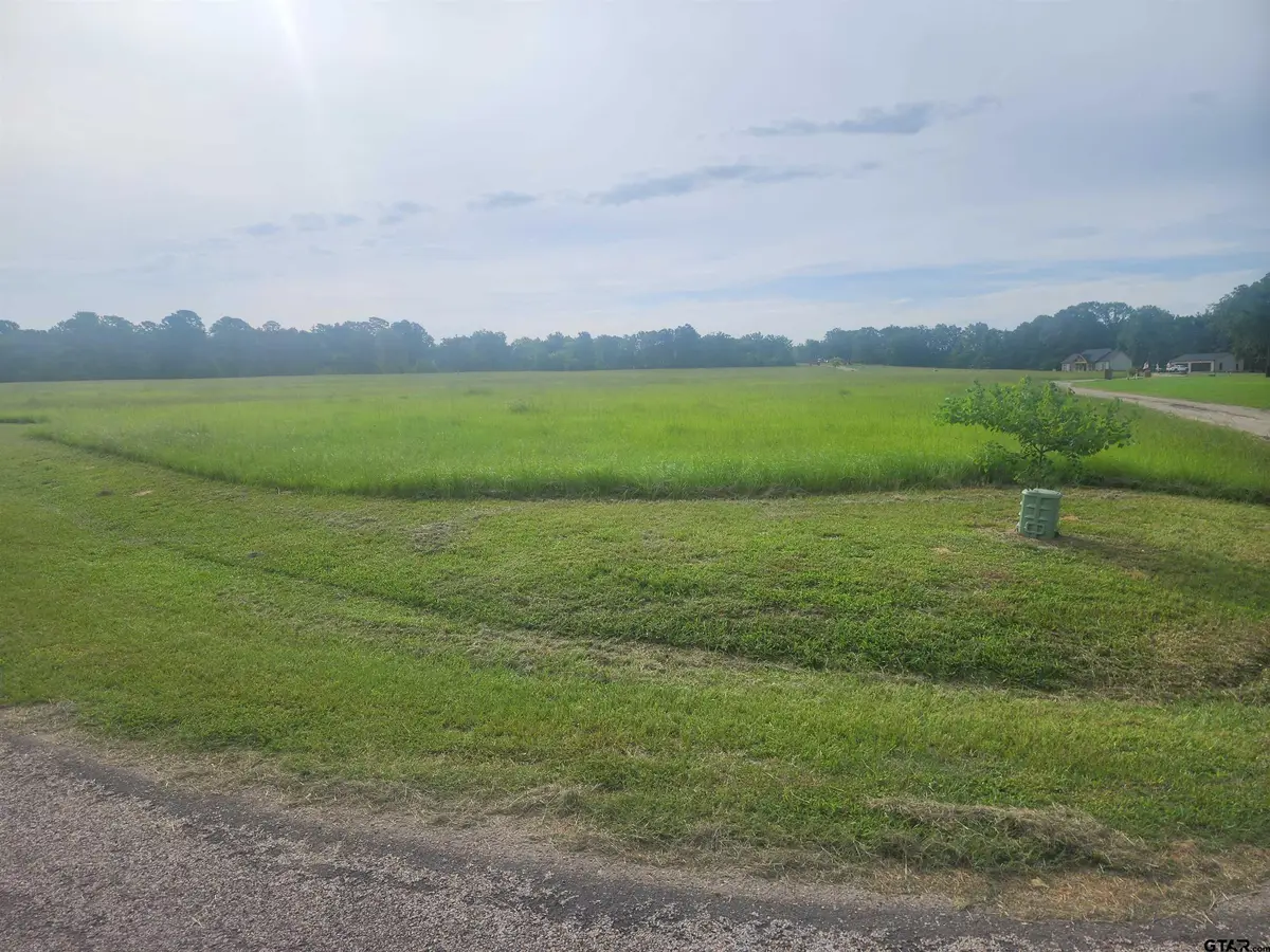 TBD CR 2136, Pittsburg, TX 75686 - #1
