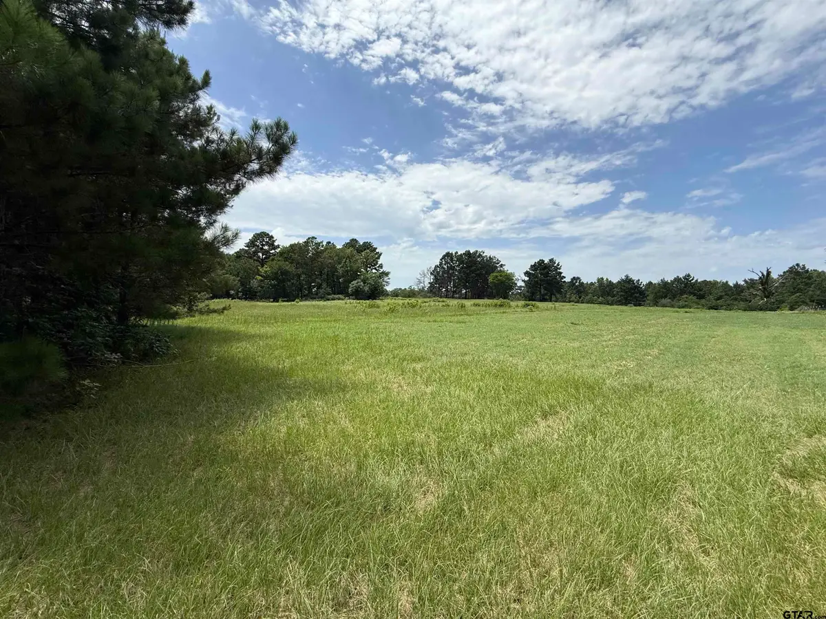 3099 CR 3114, Jacksonville, TX 75766 - #1