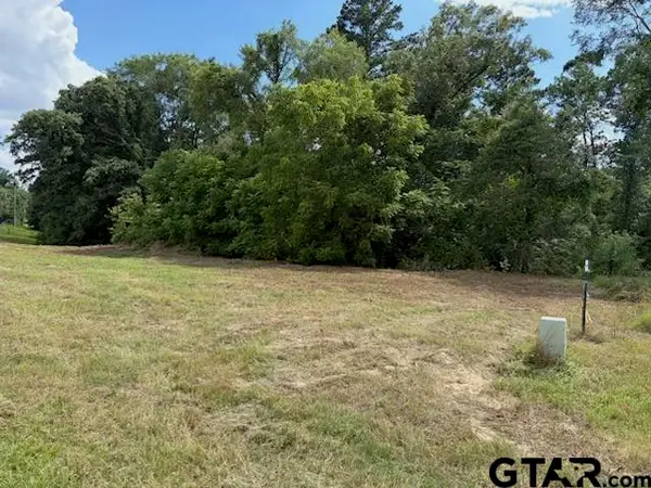 TBD Cypress Creek Dr, Diana,  75640