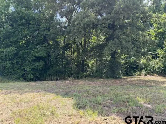 TBD Cypress Creek Dr, Diana, TX 75640 - #2