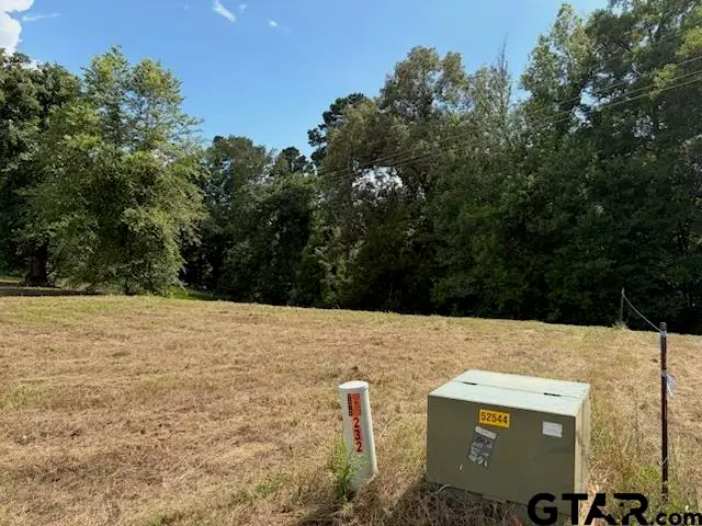 TBD Cypress Creek Dr, Diana, TX 75640 - #3