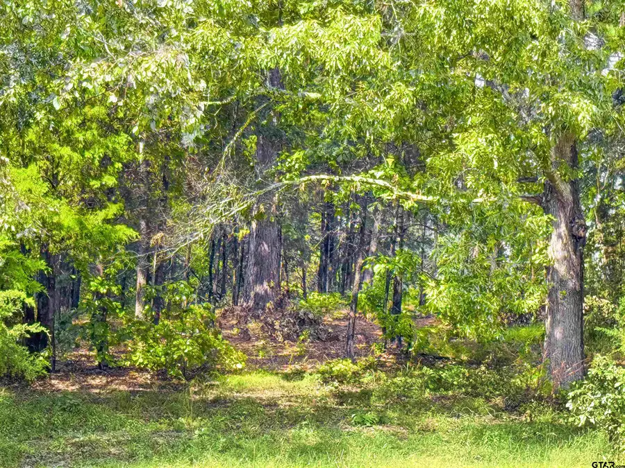 Lot 32 Creek Bottom Ct, Winona, TX 75792 - #3