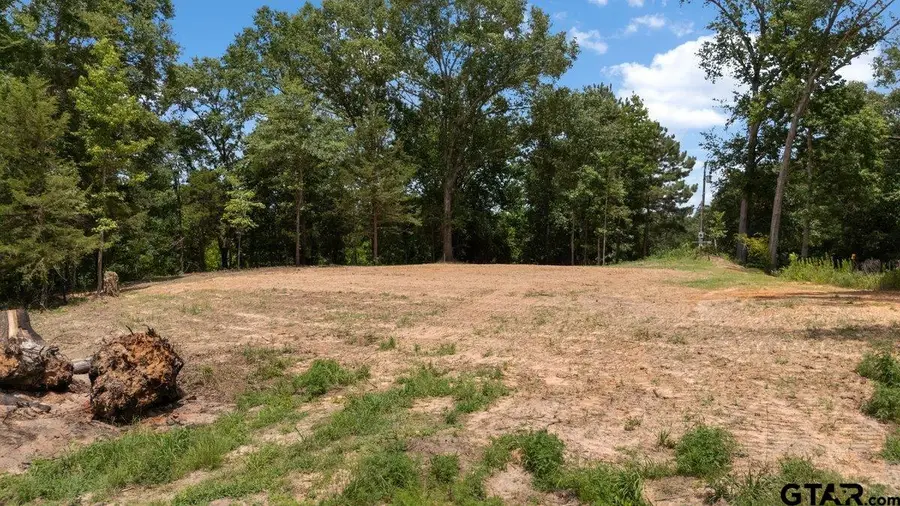County Road 384, Tyler, TX 75708 - #2