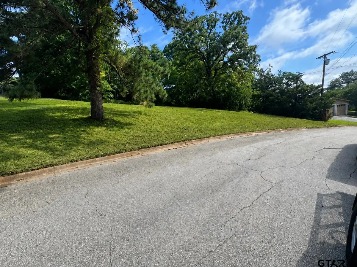 000 Stephanie Dr., Palestine, TX 75803 - #1