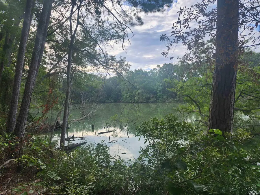371 County Road 4152, Pittsburg, TX 75686 - #3