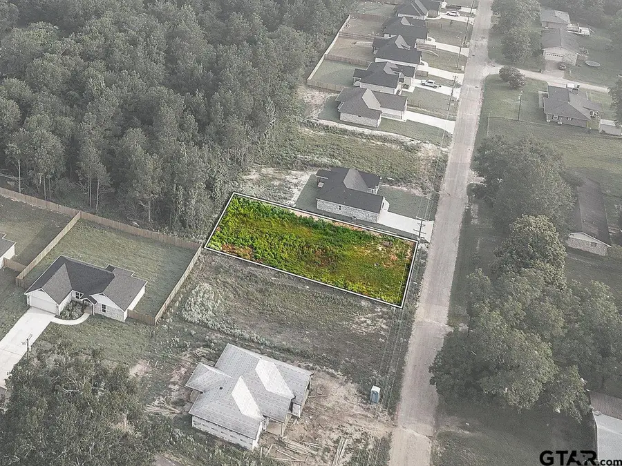 Lot 11 Ellis St, Rusk, TX 75785 - #3