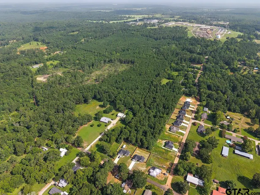 287 Ellis St, Rusk, TX 75785 - #3