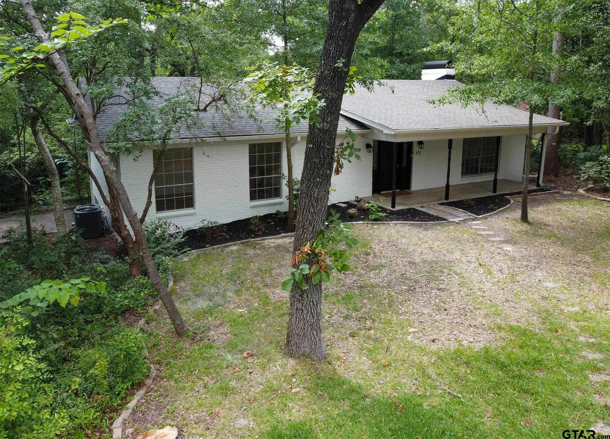 431 Lone Star Ln, Hideaway, TX 75771 - #1