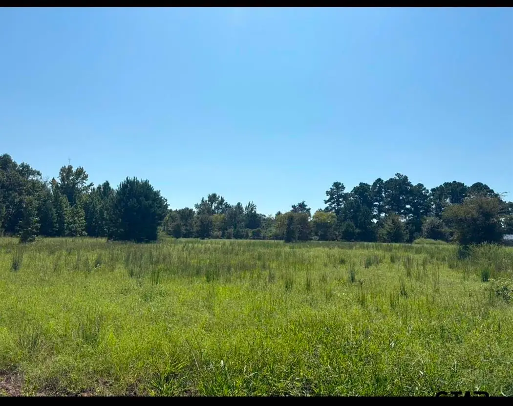 TBD Cr 192, Tyler, TX 75703 - #1