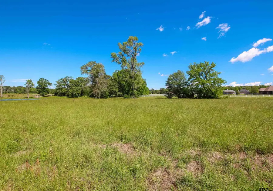 16391 Beacons Jet Ct, Lindale, TX 75771 - #2