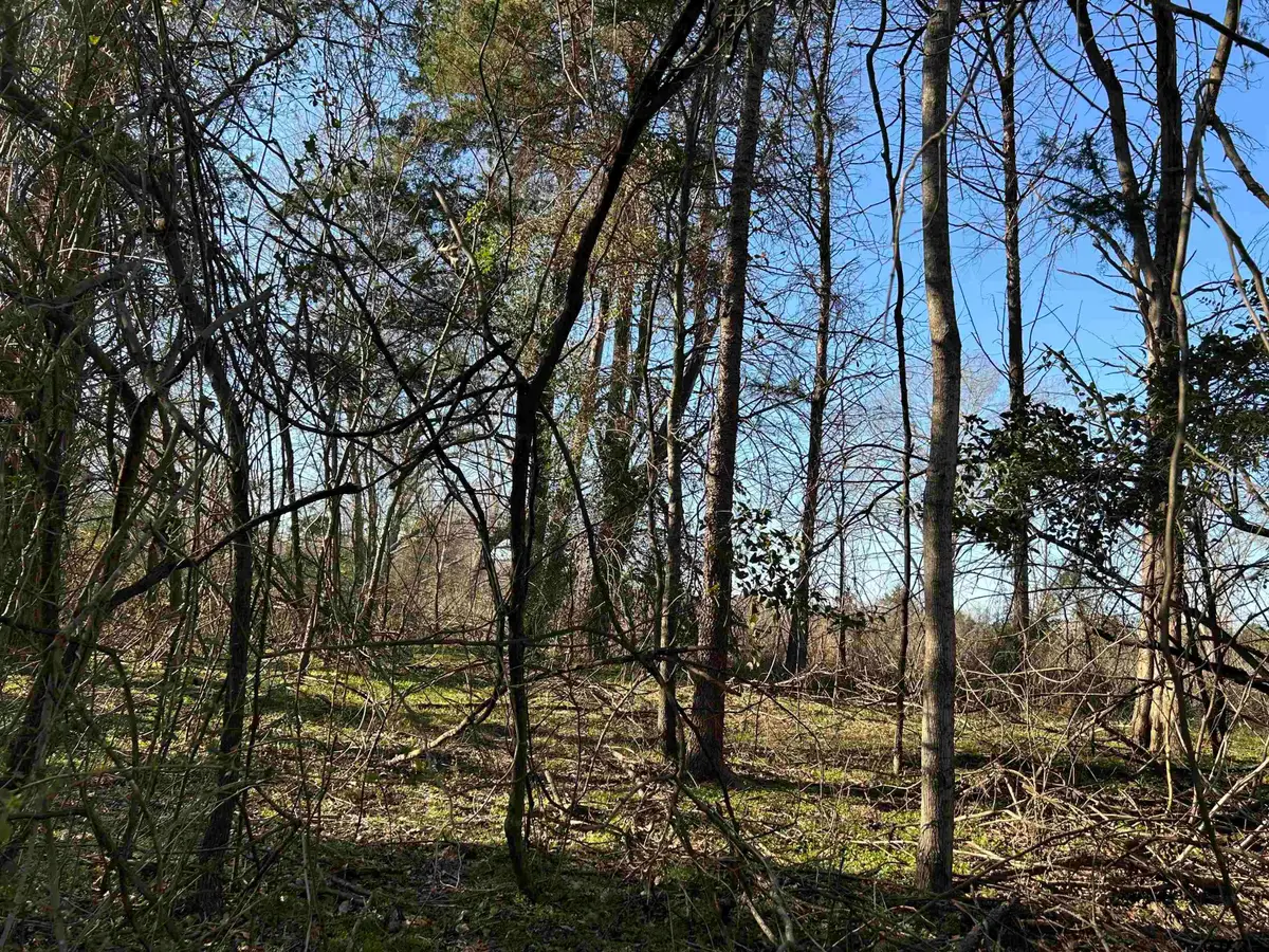 TBD Cr 3324, Pittsburg, TX 75686 - #1