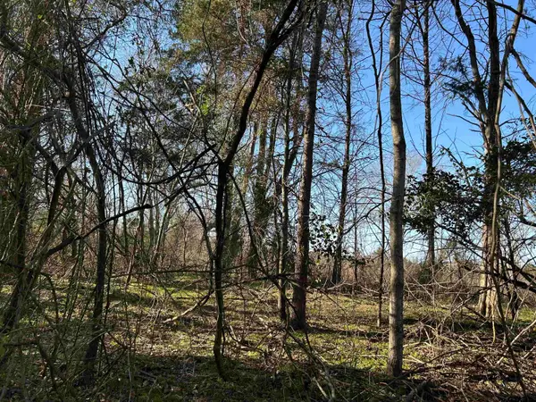 TBD Cr 3324, Pittsburg,  75686