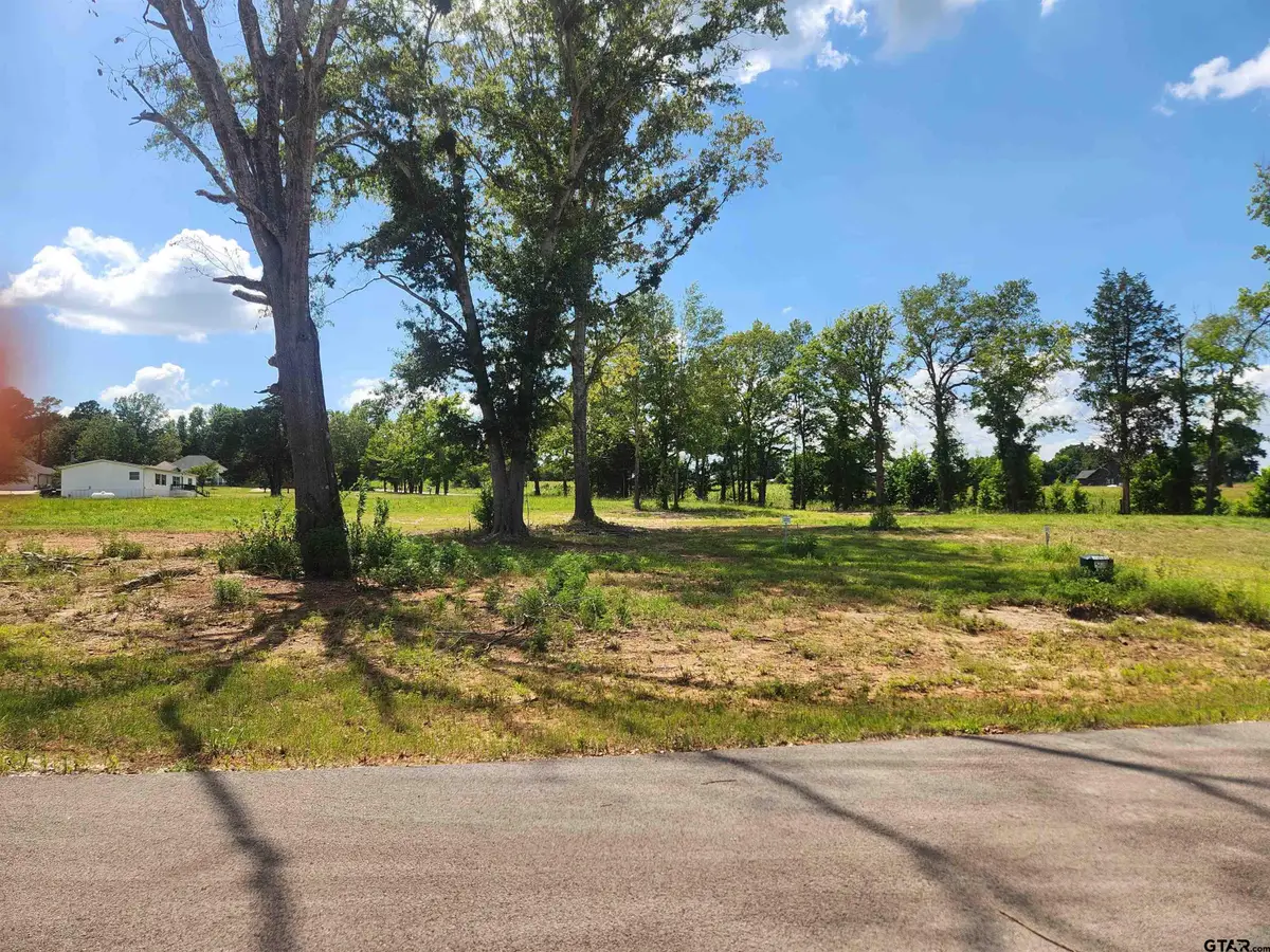 20034 Dews Ct Lot 3, Troup Arp, TX 75789 - #1