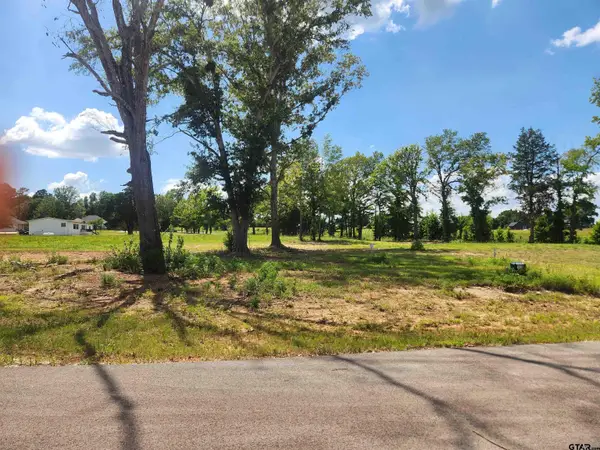 20034 Dews Ct Lot 3, Troup,  75789