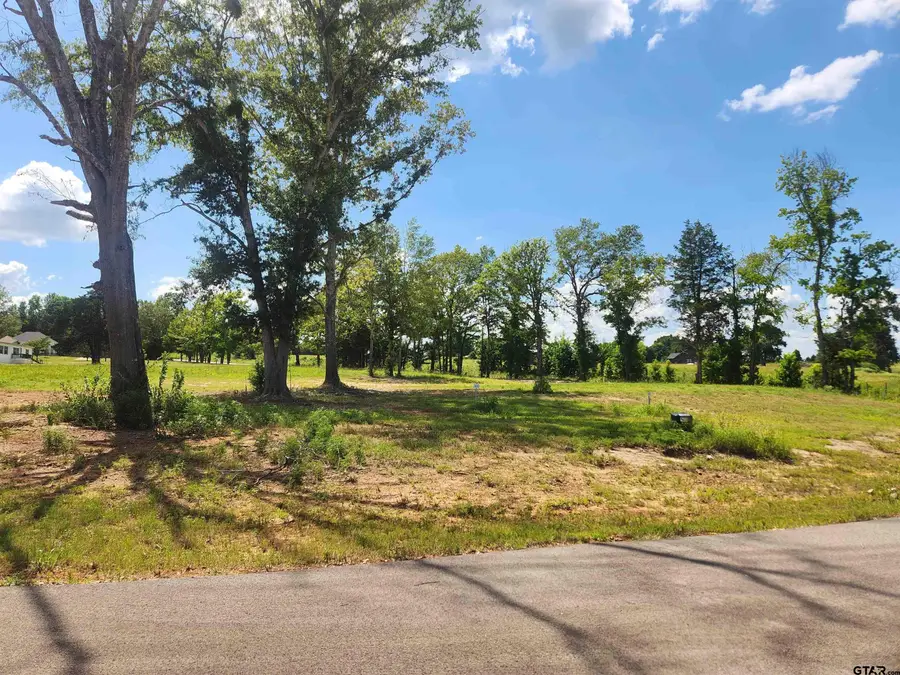 20034 Dews Ct Lot 3, Troup Arp, TX 75789 - #2