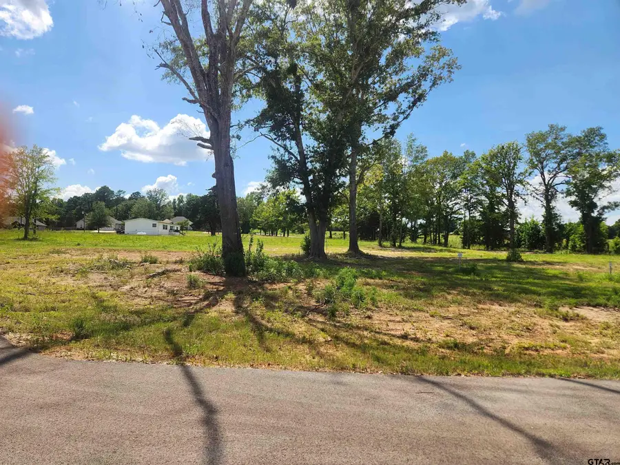 20034 Dews Ct Lot 3, Troup Arp, TX 75789 - #3