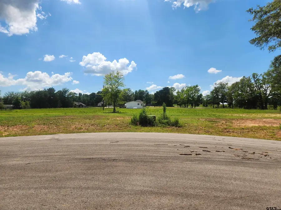 20048 Dews Ct Lot 5, Troup Arp, TX 75789 - #2