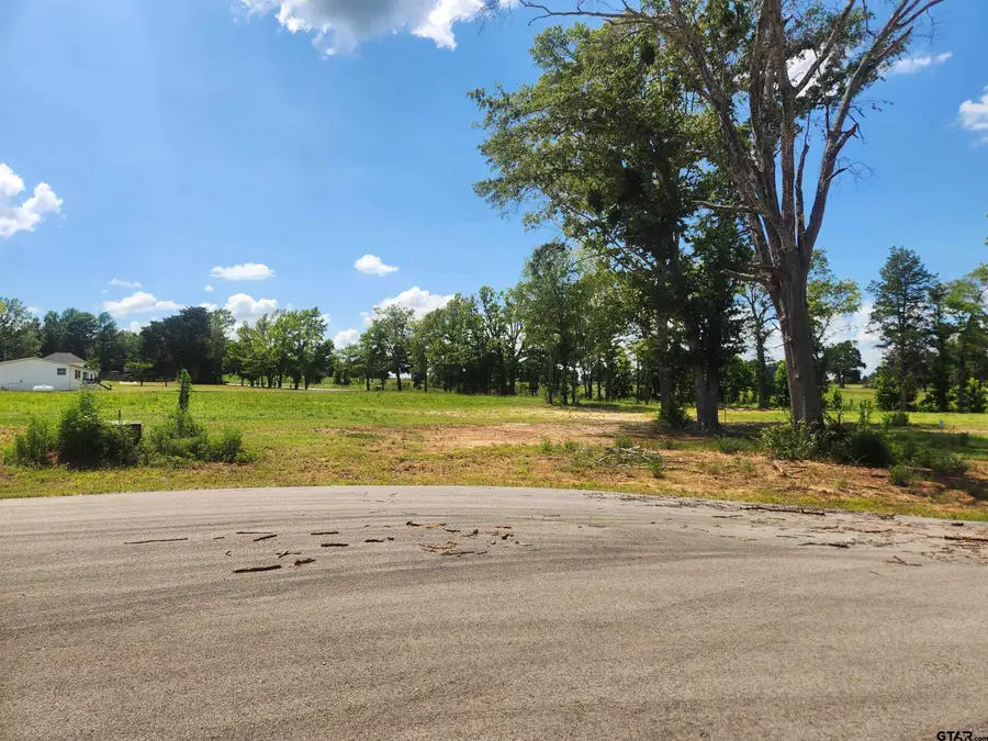 20048 Dews Ct Lot 5, Troup Arp, TX 75789 - #3