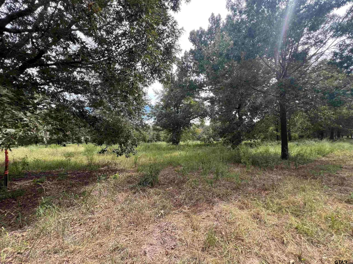 TBD Cr 422, Lindale, TX 75771 - #1