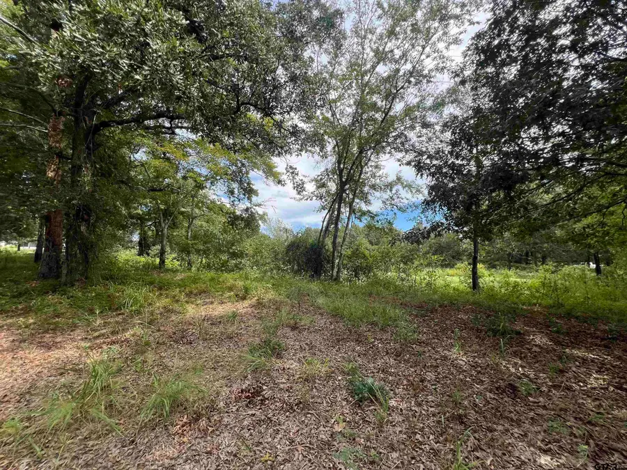 TBD Cr 422, Lindale, TX 75771 - #3