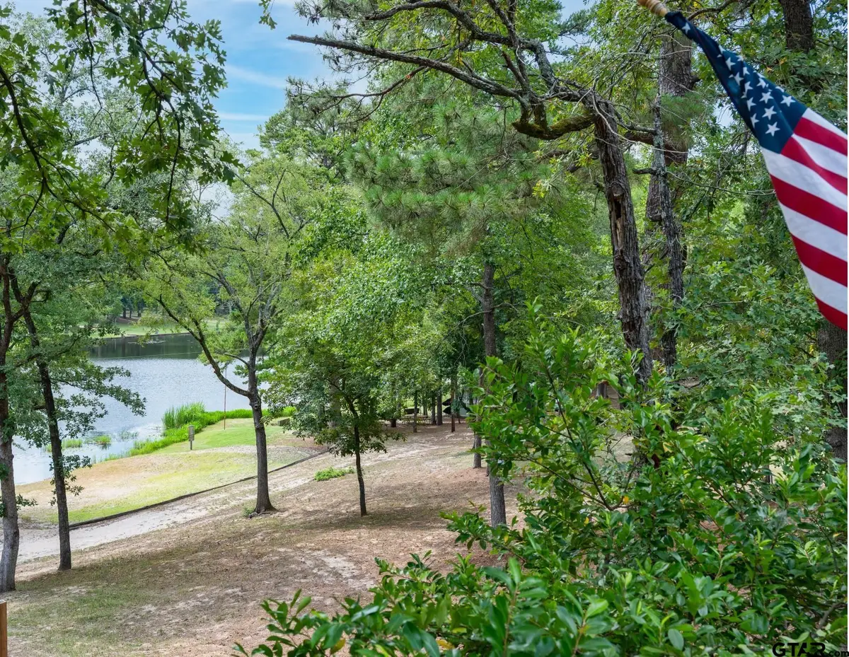 170 Wild Goose 221f, Holly Lake Ranch, TX 75765 - #1