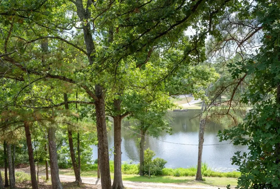170 Wild Goose 221f, Holly Lake Ranch, TX 75765 - #2