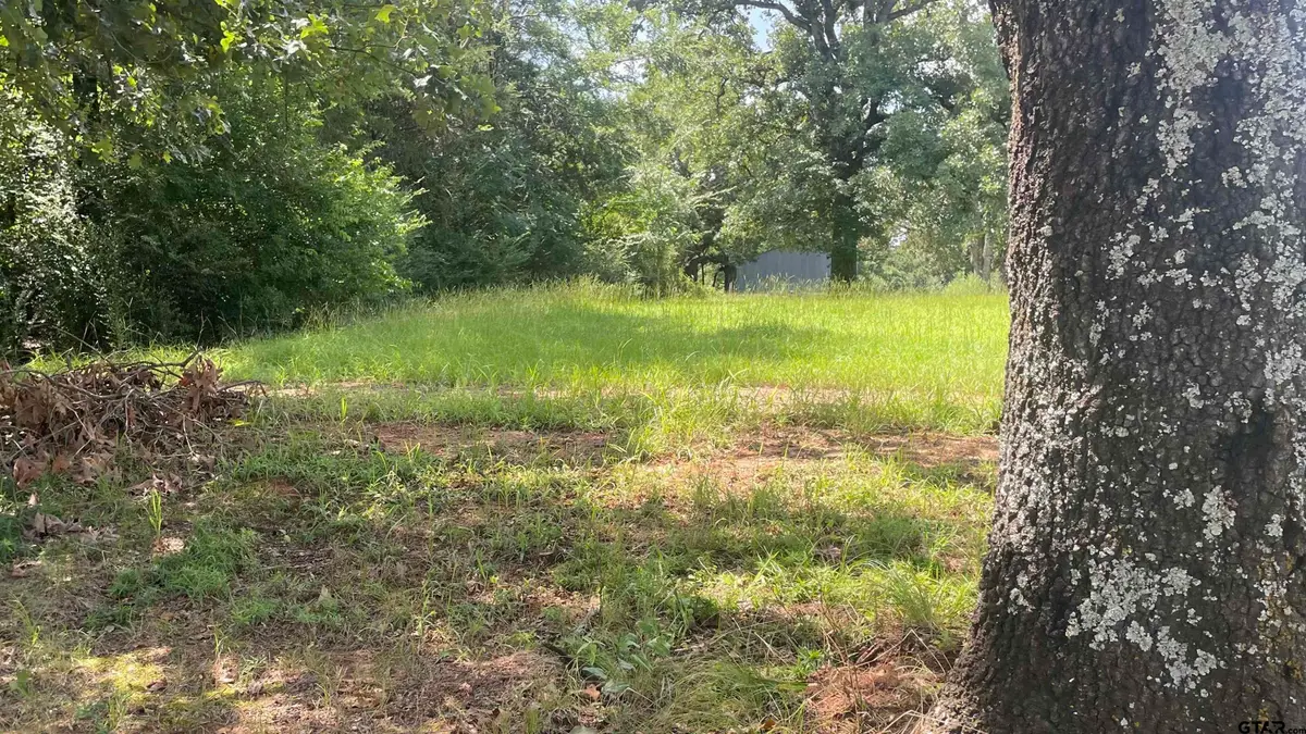 640 S Cr 4505, Winnsboro, TX 75494 - #1