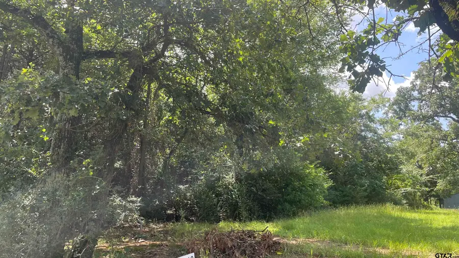 640 S Cr 4505, Winnsboro, TX 75494 - #3