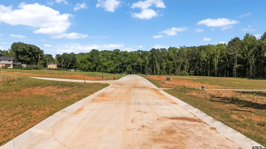 403 Mary Lane, Troup, TX 75789 - #3