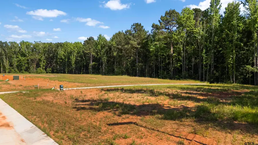 409 Mary Lane, Troup, TX 75789 - #2